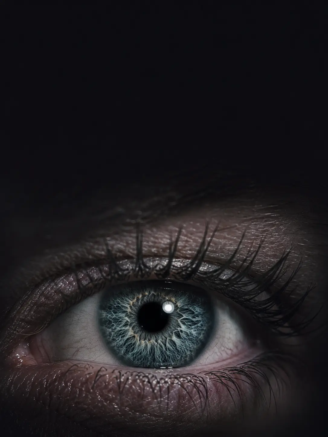 Macro eye photograph showing fine detail and texture.